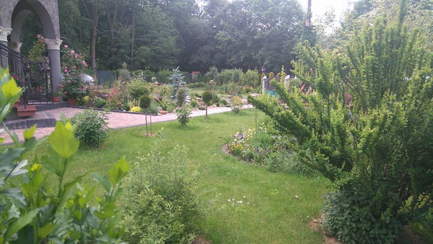 z innego końca ogrodu