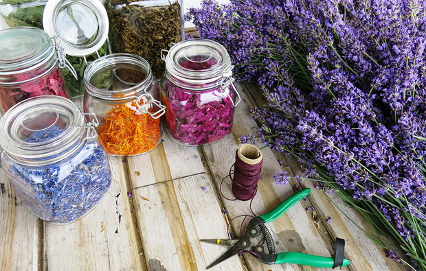 Zachować lato w słojach..na potem, na zimę, na szarugę jesienną...i wtedy otwierając herbaciany słój powąchać rozgrzane źdźbła, liście i kwiaty...w ziołowych herbatkach...hmmm oj warto!