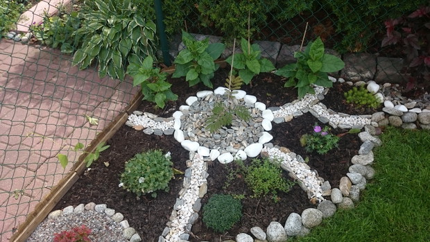 albicja posrodku moja ulubiona a za nia dziwaczki