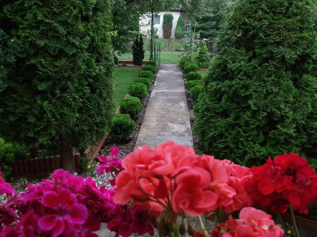 aleja 2 - ku wyjściu