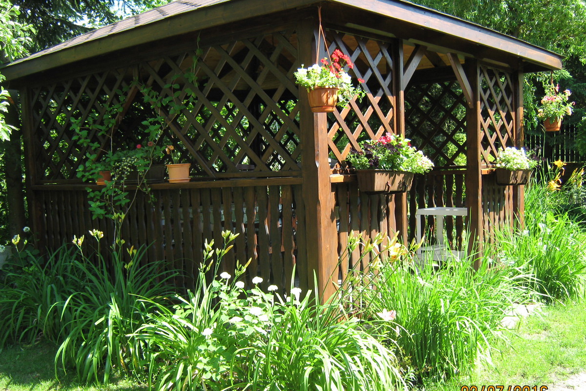 Altana, którą porasta wiciokrzew i otaczają kwitnące liliowce, hortensje i malwy.