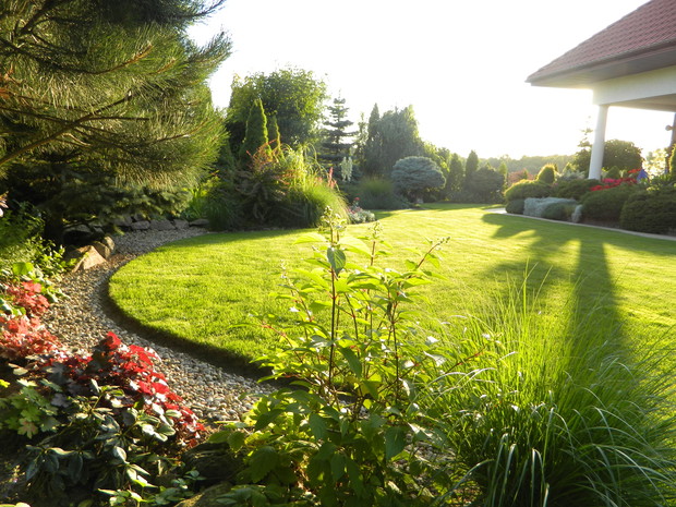 ciepłe światło nadchodzącego wieczoru