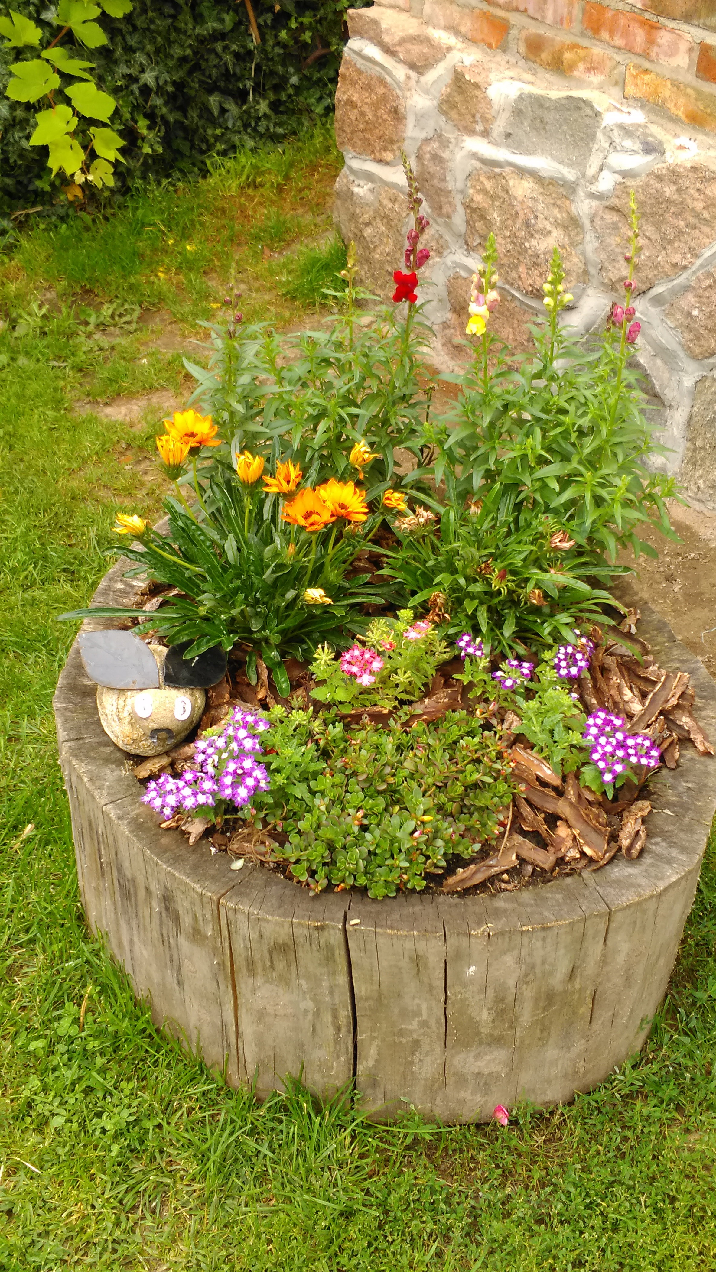 Co mieszka w starym pniu???