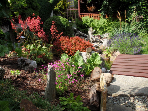 część ogrodu skalnego z drewnianym mostkiem nad strumykiem