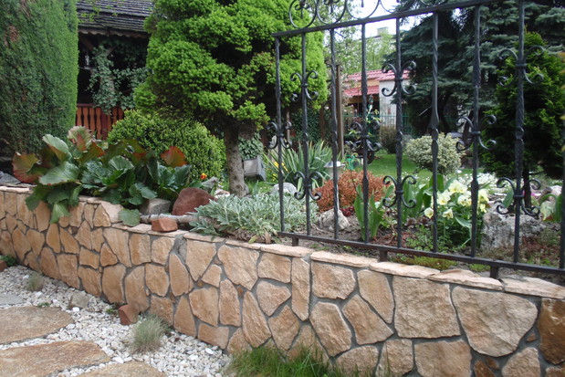 część ogrodu skalnego