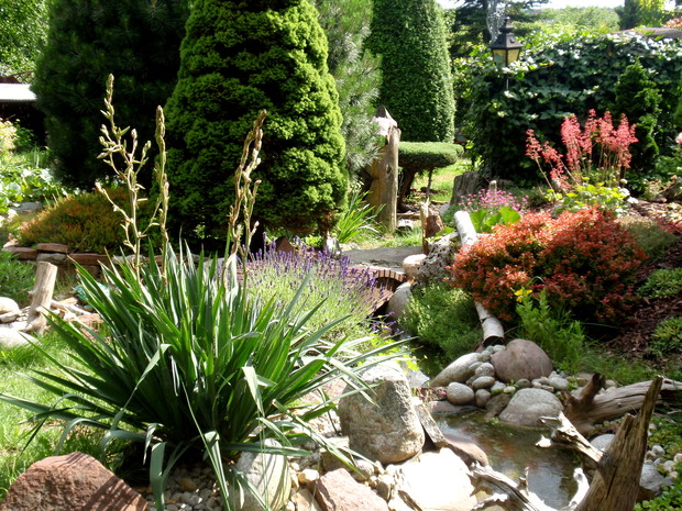 część ogrodu skalnego