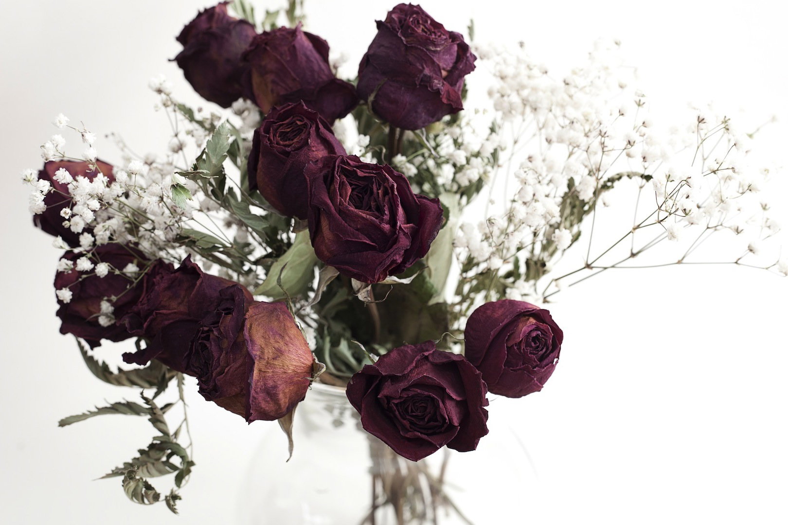 Do suszenia doskonale nadają się m.in. róże (zdj.: Fotolia.com)