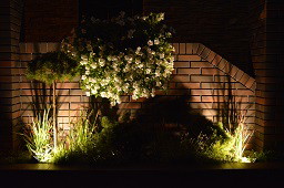 Donica przyścienna nocą 