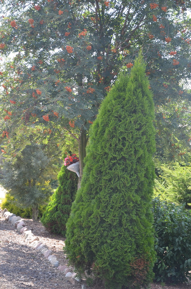 Druga - prawa strona na wjazd do posesji :)