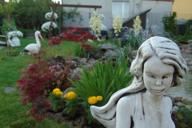 Figurka kobiety, w tle żółte aksamitki i klon acer palmatum.