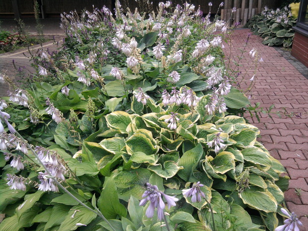 Fragment zakatku ozdobnego .