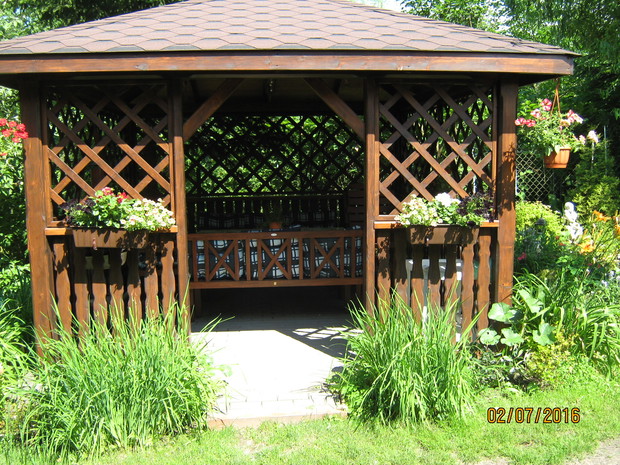 Front altany z kwiatami balkonowymi i kosaćcami syberyjskimi.