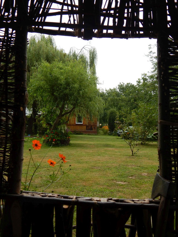 Kiedy dzieci czegoś zapragną - a Ty próbujesz to spełnić....Może nie ideał... i nie do końca po myśli dzieci...bo chciały domek na drzewie....no ale moje inwencje twórcze skończyły się na domku z drzewa :P Prace trwają ...a tymczasem widok z okienka :)