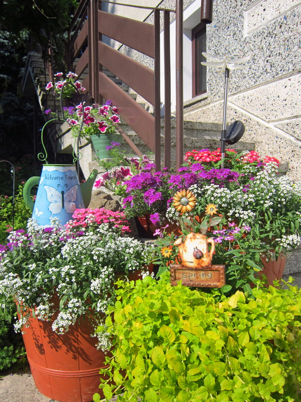 Kompozycje w donicach