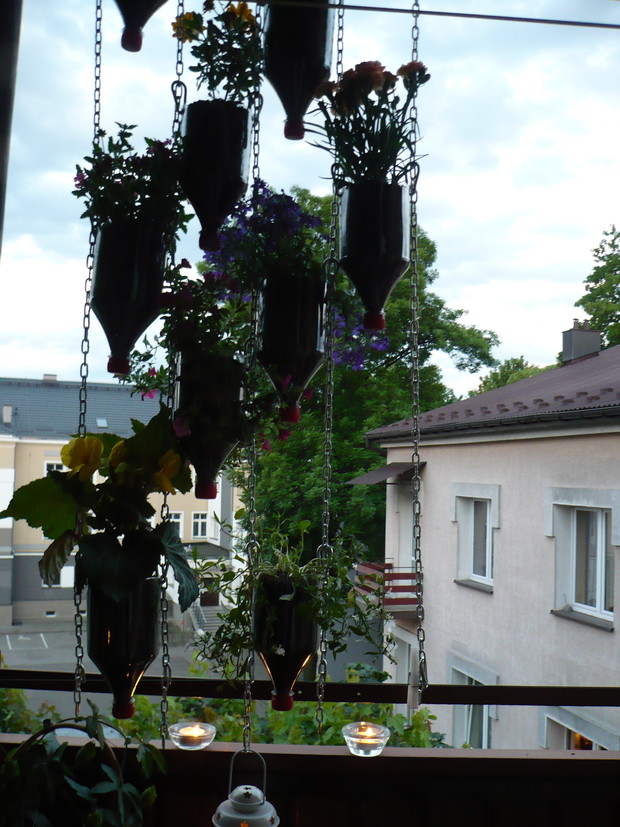 kwiatki w butelkach :-)