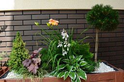 moje kompozycje w drewnianych skrzyniach 