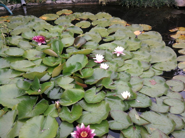 Moje ulubione miejsce do wypoczynku przy stawie.