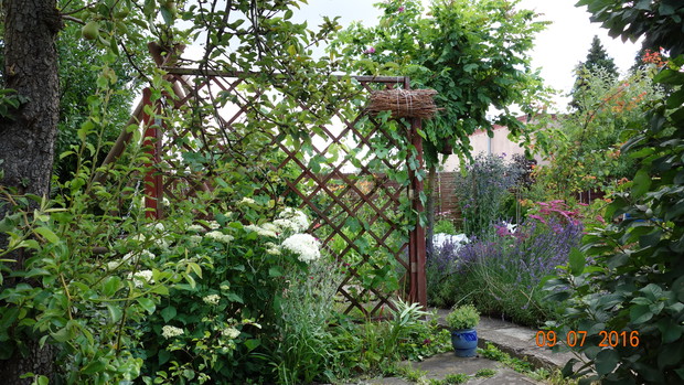 Ocieniony zakątek z wiązką gałązek dla owadów