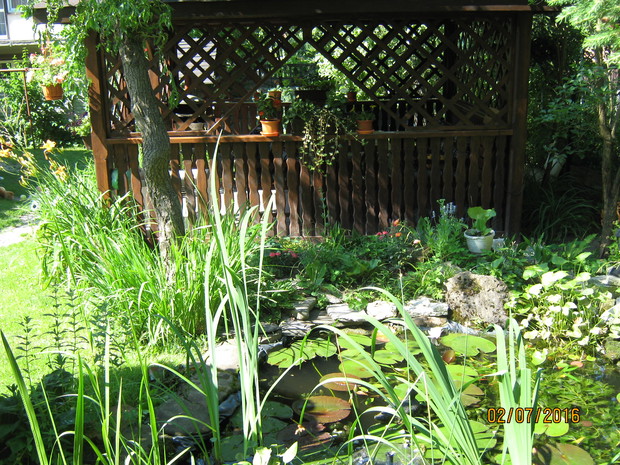 Oczko wodne z roślinnością i ukwieconym skalniakiem. W tyle bok altany. Z lewej strony wierzba babilońska a z prawej lilaki.