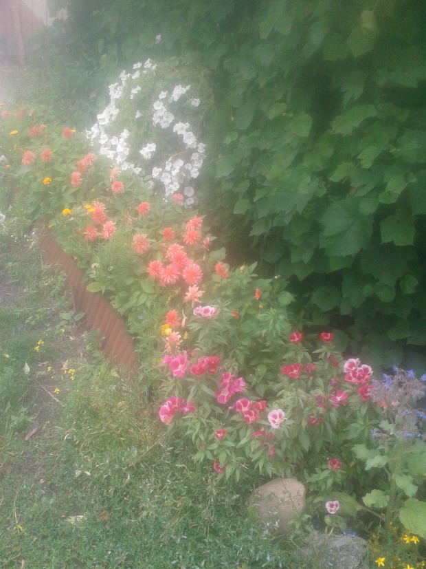 Piekny zakatek kwiatowy.