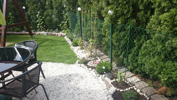 pierwsze półkole trojeść amerykańska za nią czereśnie i kiwi