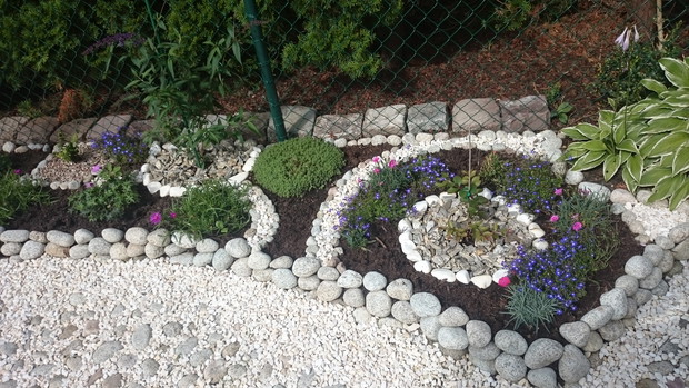 po prawo w kółku lagerstroemia na lewo budleja maleństwa jeszcze