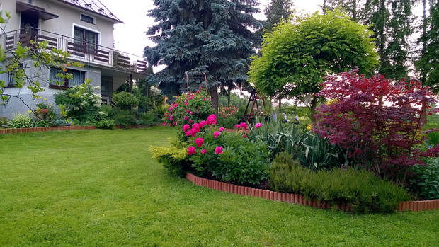 Północna cześć ogrodu