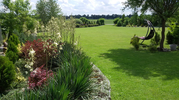 Powtarzanie nasadzeń w ogrodzie zwiększa efekt wizualny. 