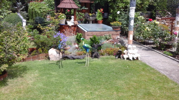 Ptaki przy skalniaku