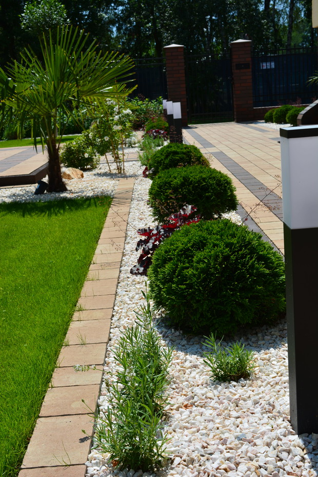 Rabata przy chodniku: danica,żurawka dla kontrastu i biała lawenda 