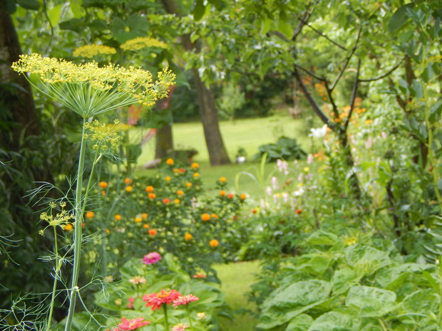 Rzut okiem na podwórze z warzywniaka...i nie tylko... bo kwiaty też tam goszczą