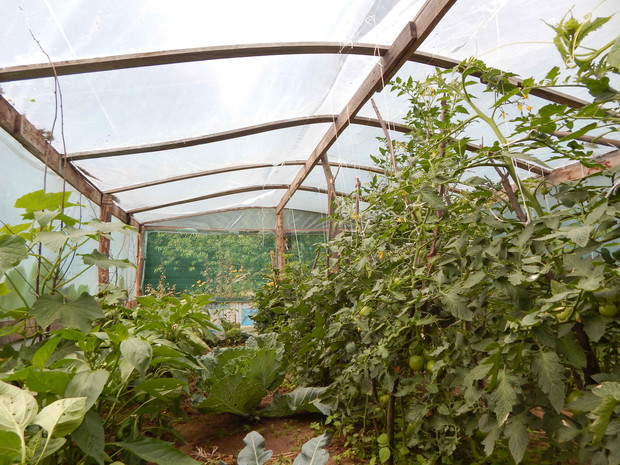 Rzut okiem na zawartość w folii 