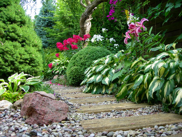 ścieżka prowadząca od altanki do oczka wodnego