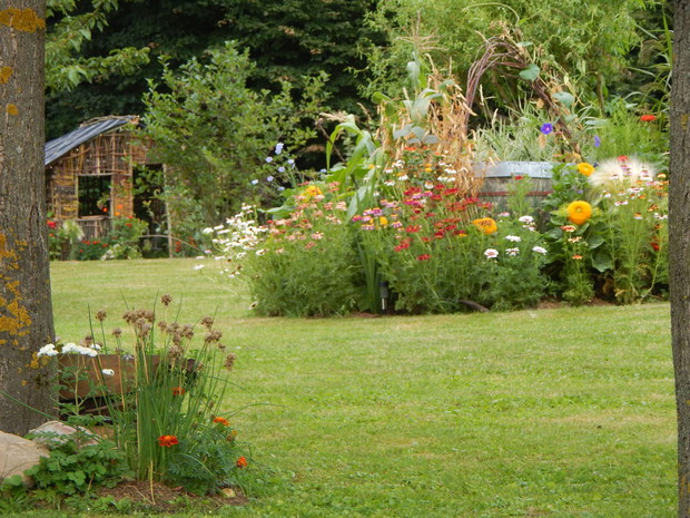 Setka zdjęć w poczekalni....ale transfer internetu pod naszym lasem zdecydował, że na tym zdjęciu zakończę. Dziękuję za uwagę i pozdrawiam ;)