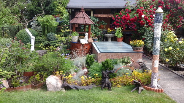 Skalniak przy basenie