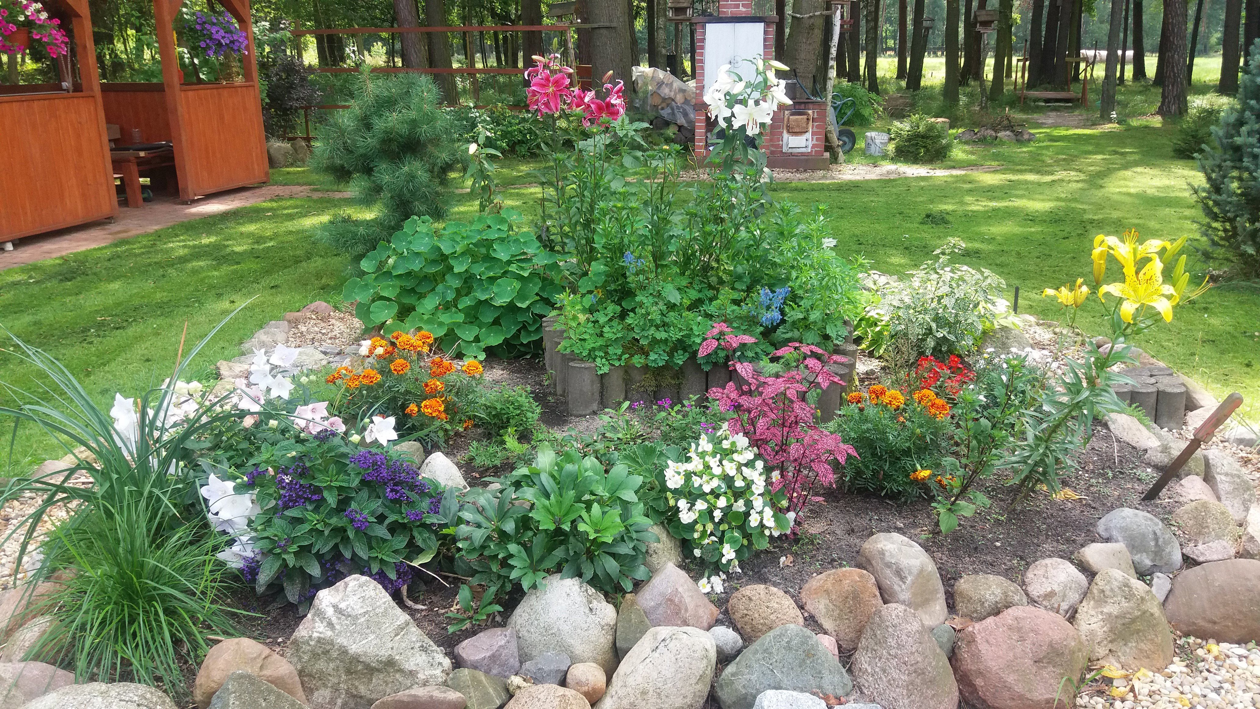 Skalniak, w tle wedzarnik