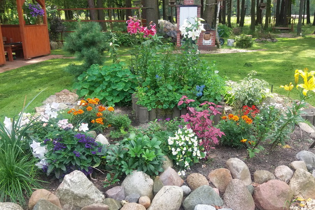 Skalniak, w tle wedzarnik