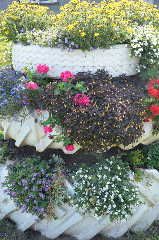 Skalniak z opon pomysł i realizacja moja z pomocą mojego kochanego chrześniaka Adriana :) Dziękuję ci chrześniaku :)