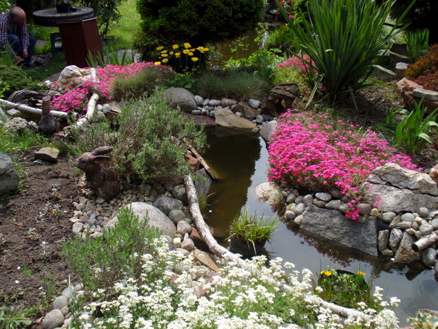 strumyk wpadający do oczka wodnego