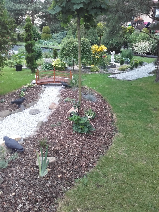 sucha rzeka a na jej końcu mały mostek uwielbiany przez naszego Yorka