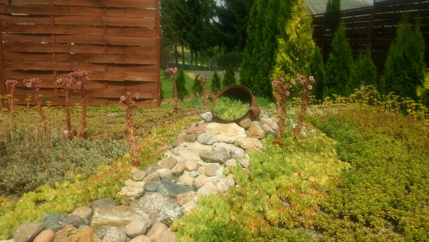 "Suchy strumyk" na starej piwnicy.