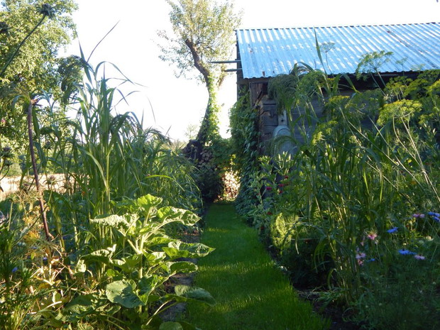 Światełko w tunelu....przy spichlerzu 