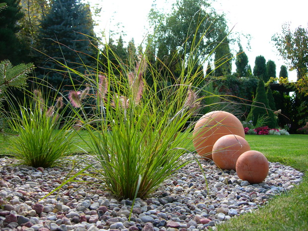 trawy ozdobne, pięknie falują na wietrze