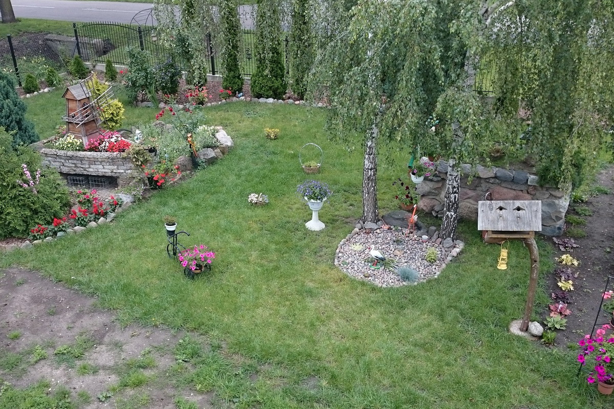 Widok części ogrodu z góry