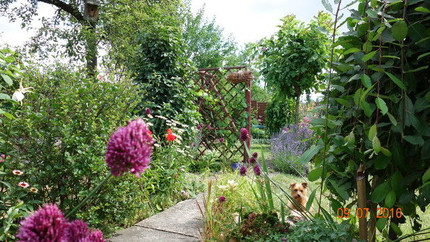 Widok na naszą zieleń