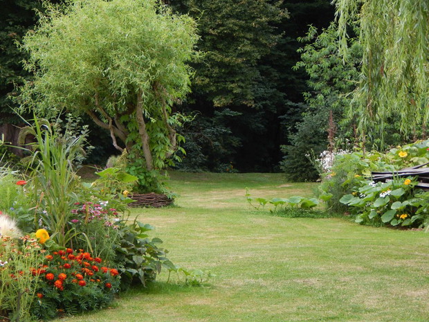 Widok na wejście do lasu....Bundysz lasu :)