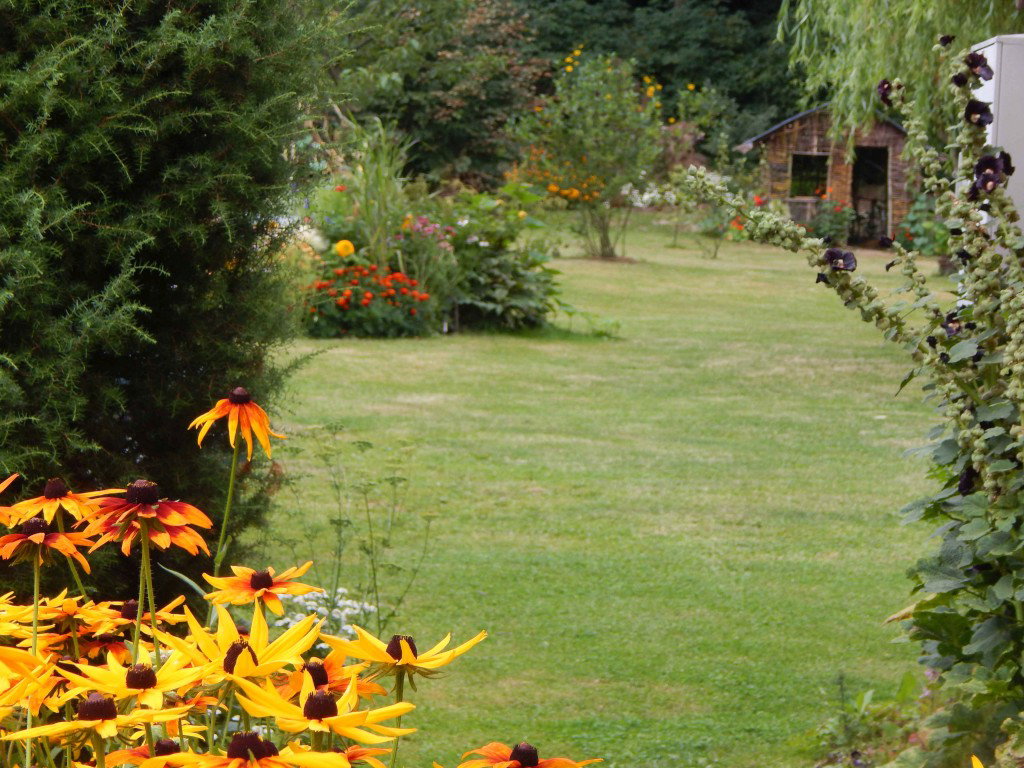 Widok ze ścieżki pod domem...Szkoda, że nie da się zapachu tu wcisnąć....mieszanka lawendy, poziomek, mięty, tytoniu ozdobnego i pomidorów w tym miejscu dopada...