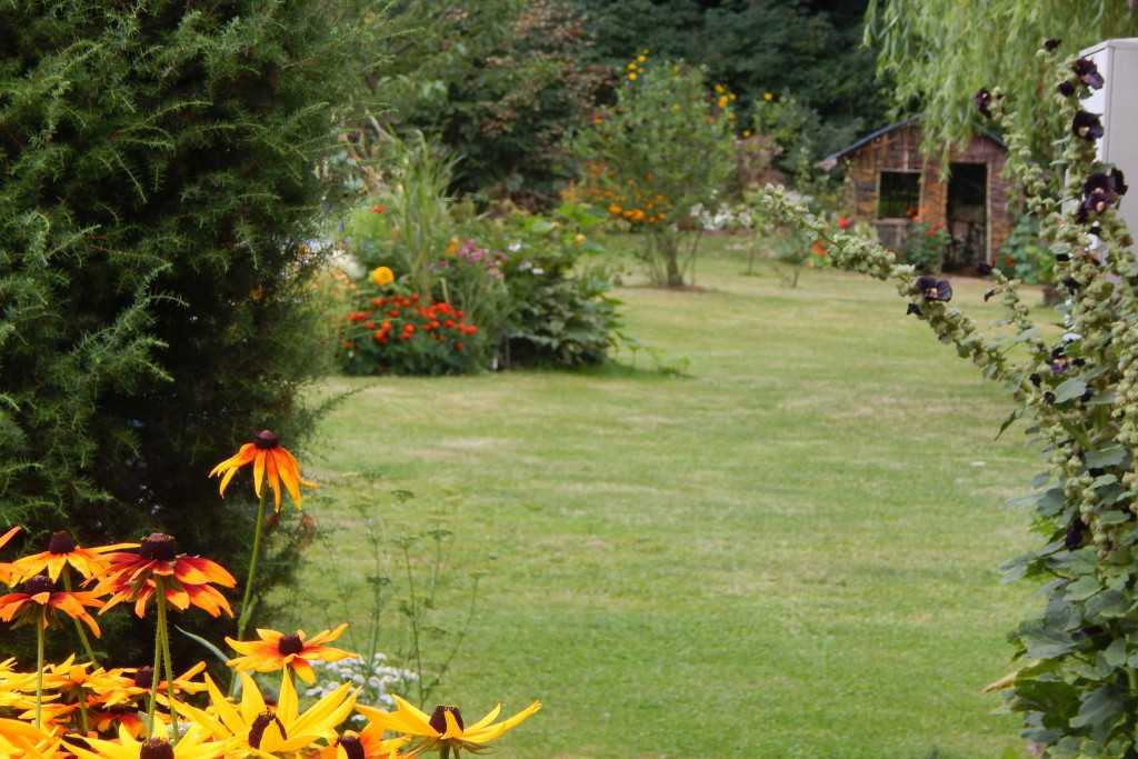 Widok ze ścieżki pod domem...Szkoda, że nie da się zapachu tu wcisnąć....mieszanka lawendy, poziomek, mięty, tytoniu ozdobnego i pomidorów w tym miejscu dopada...