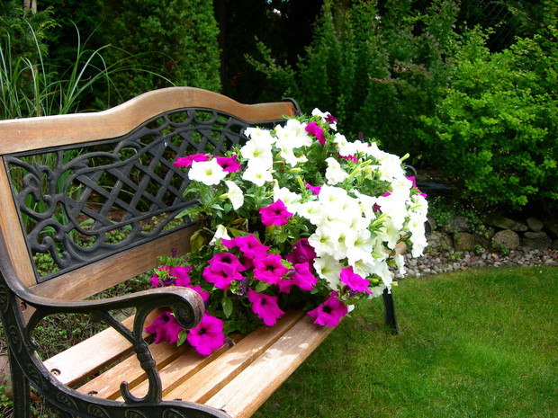 wspomniana wcześniej magiczna ławeczka