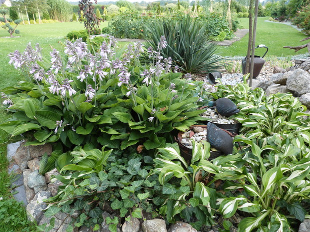 Wśród funkii i kamieni wspaniale prezentują się pozyskane stare miedziane naczynia. 